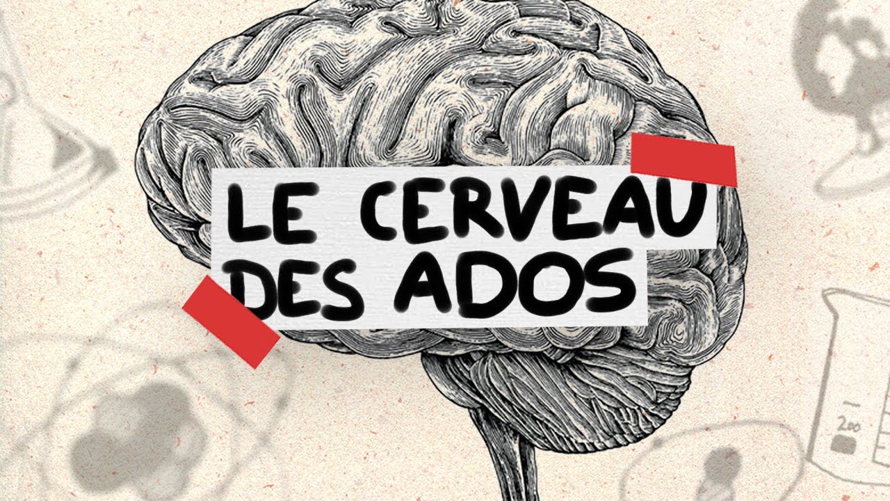 Le cerveau des ados expliqué en 3 minutes