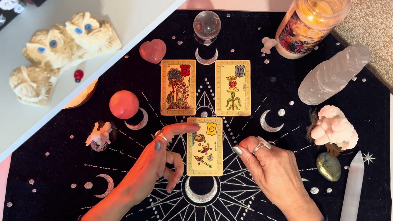 JEUDI 5 MARS 2026 La coupe du jour de Mr Belline 🔮💫