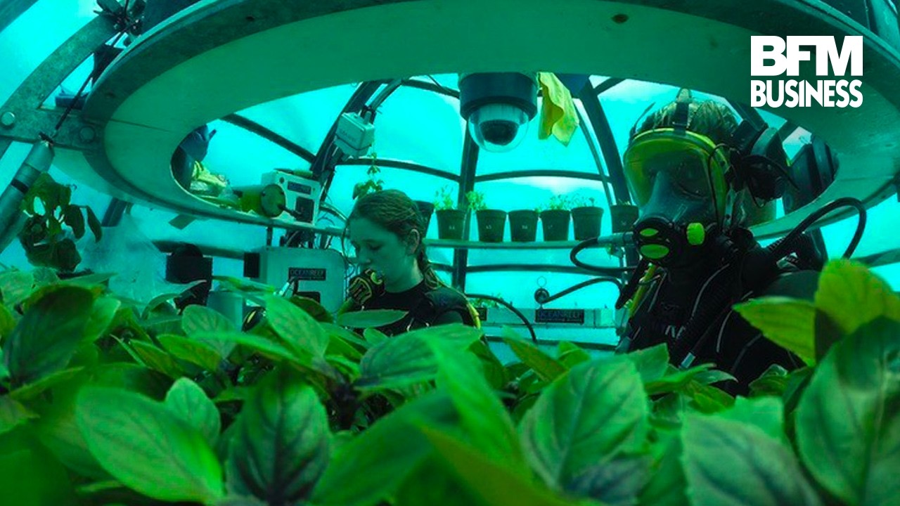 Une ferme... sous-marine