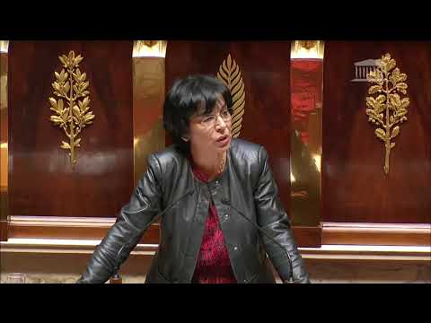 Programme de Stabilité - L' intervention de Christine Pires-Beaune