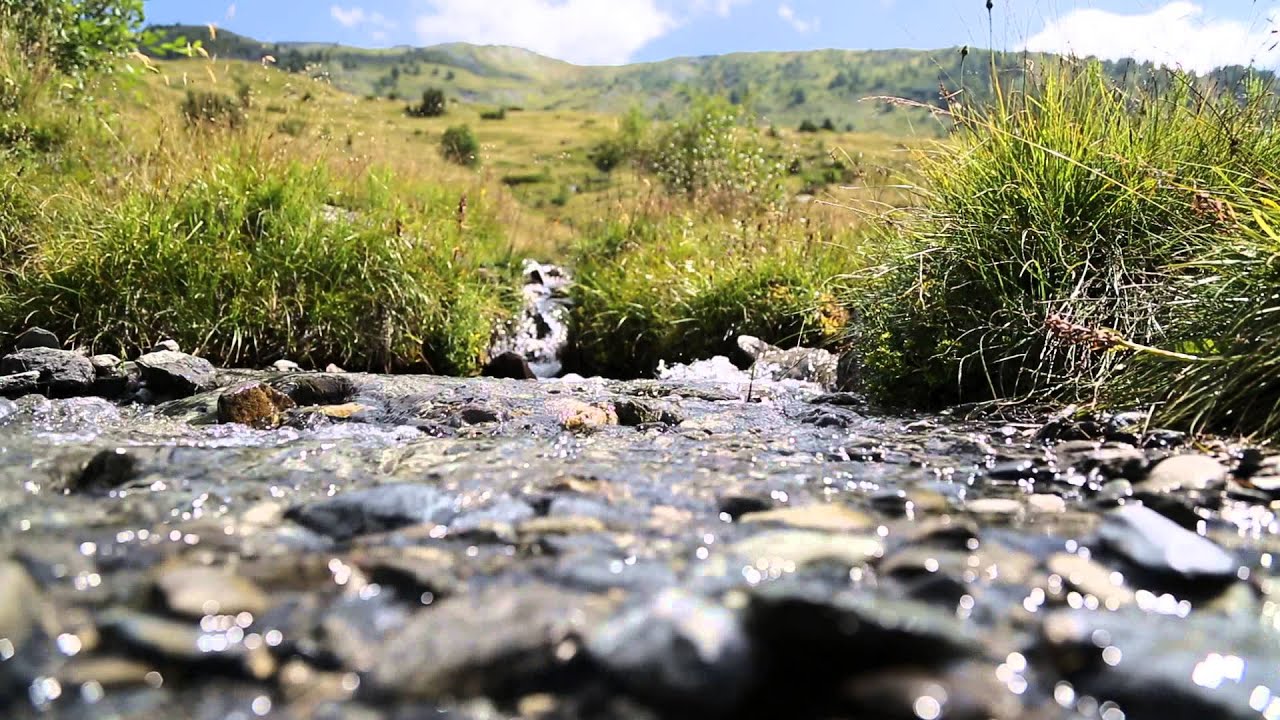 NATURE - Beaune - Saint Michel de Maurienne