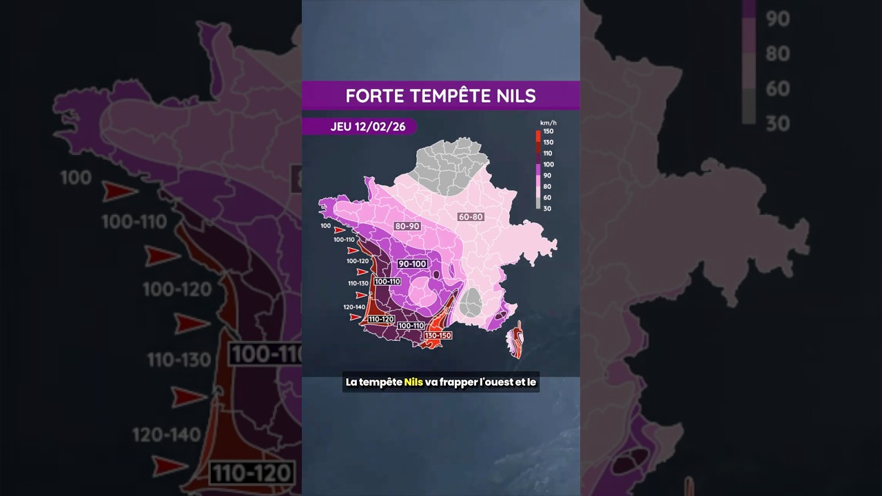 🌀 Forte tempête Nils ce jeudi 12 février 2026