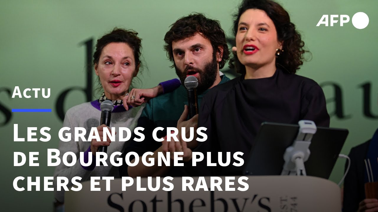 Vin: les enchères des Hospices de Beaune battent de nouveaux records | AFP