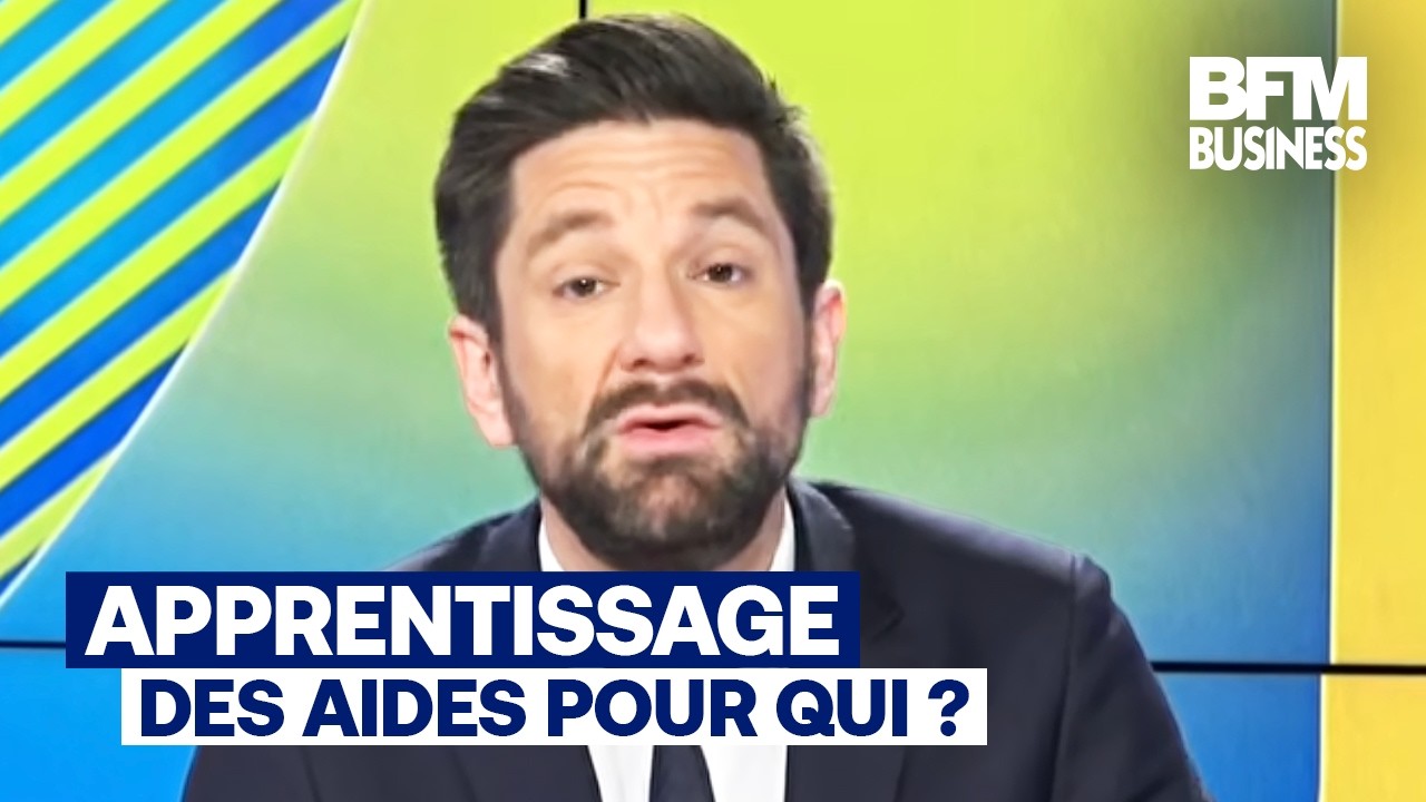 "Il faut réorienter les aides à l'apprentissage !" (Raphaël Legendre)